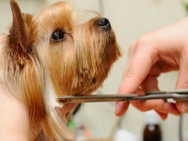 Энциклопедия ЗооТом в Дальнегорске Энциклопедия ЗооТом в Дальнегорске